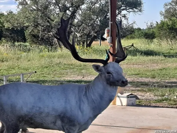 2724 Sd 24910, Rocksprings, TX 78880