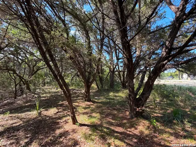 2021 Ronda Ct, Canyon Lake, TX 78133 - #2