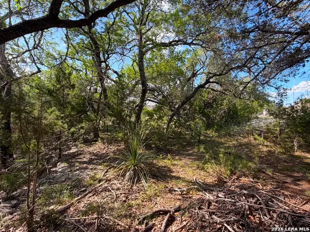 2021 Ronda Ct, Canyon Lake, TX 78133 - #3