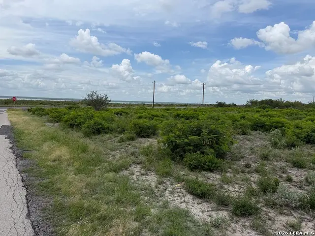 120 Quail Ridge Run, Three Rivers, TX 78071 - #2