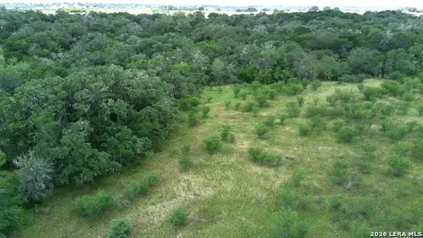 12250 Fm 3353 Tract B, Kingsbury, TX 78155