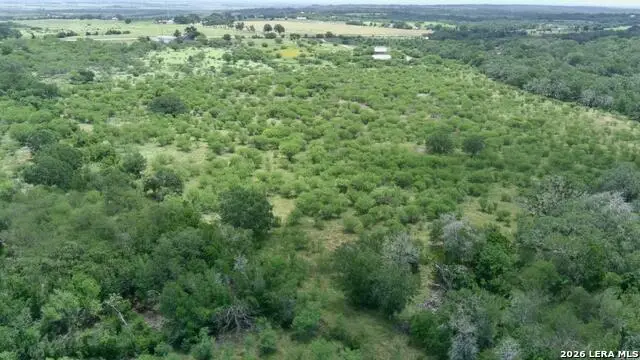 12250 Fm 3353 Tract B, Northeast Guadalupe, TX 78155 - #3