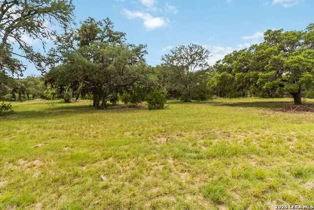 186 Private Road 1712, Mico, TX 78056 - #3