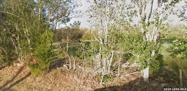 216 S Cherry St, Seguin, TX 78155