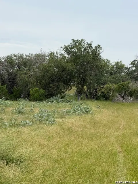 6038 County Road 405, Floresville, TX 78114