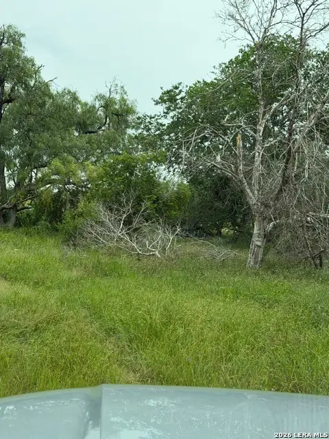 6038 County Road 405, Floresville, TX 78114 - #3