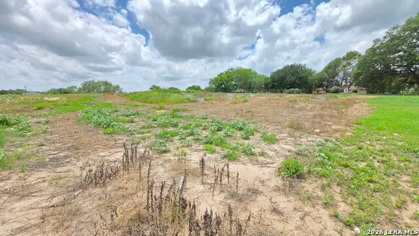16709 Llano Estacado, Atascosa, TX 78002