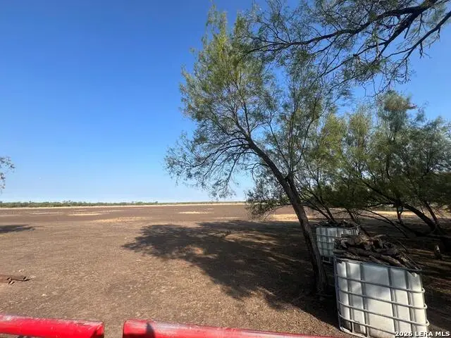 0000 Silver Bridge Road, Quemado, TX 78877 - #3