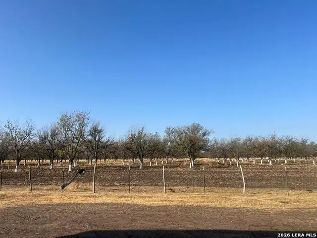 0000 Fm 1908, Quemado, TX 78877 - #2