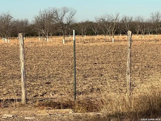 LOT D Fm 1908, Quemado, TX 78877 - #2