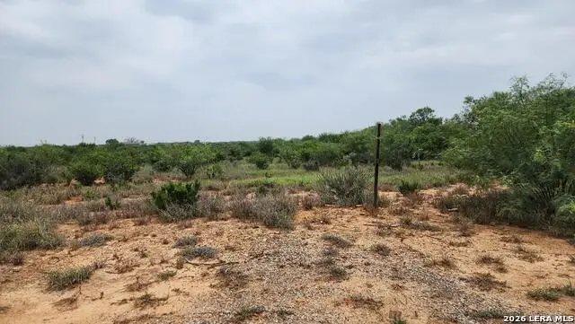 5275 S Us Hwy 83, Asherton, TX 78827 - #3