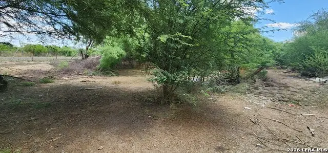 1542 Moses Rd., Quemado, TX 78877 - #3