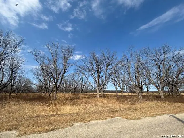 330 Stockley Rd, Quemado, TX 78877 - #1