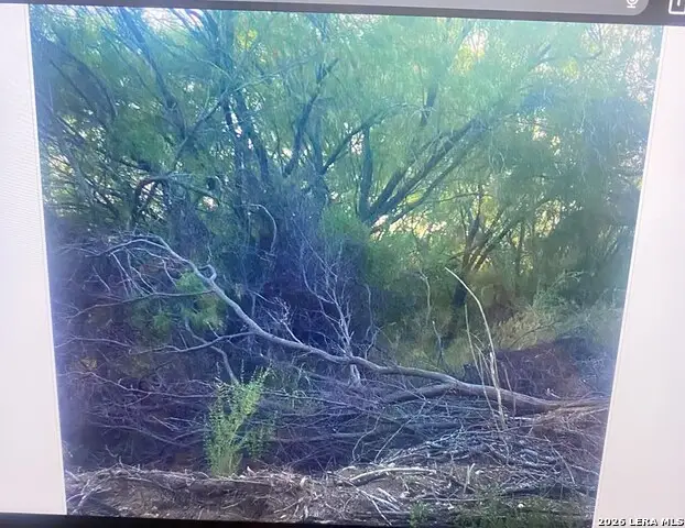 498 D Chavarra Rd, Eagle Pass, TX 78852 - #2
