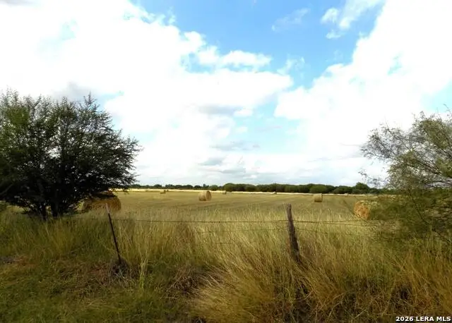 1175 Moses Rd, Quemado, TX 78877 - #1