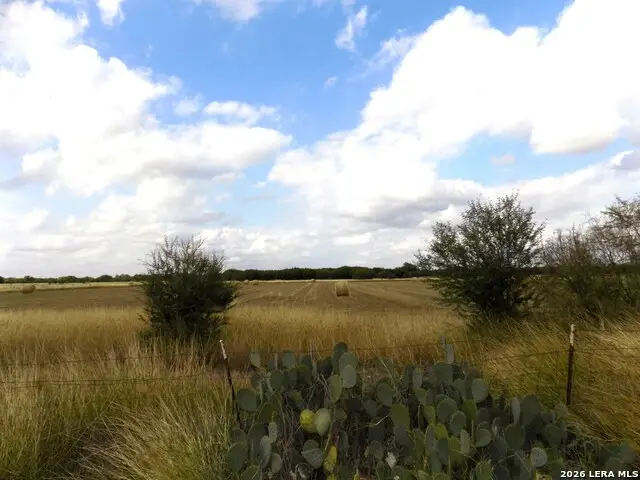 1175 Moses Rd, Quemado, TX 78877 - #2