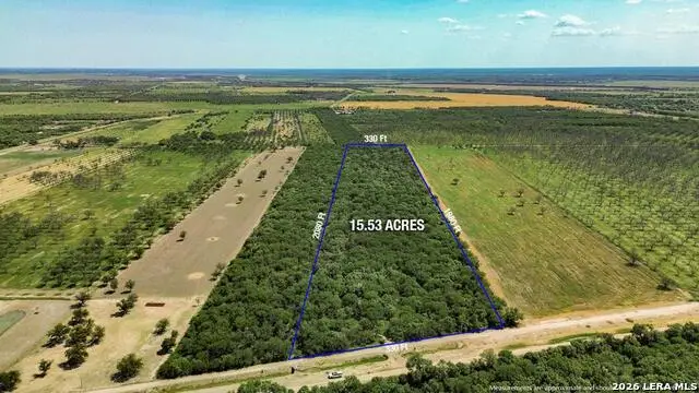 972 Silver Bridge Rd, Quemado, TX 78877 - #1
