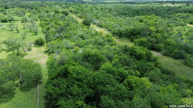 5011 N Abbott Rd, Saint Hedwig, TX 78152 - #3