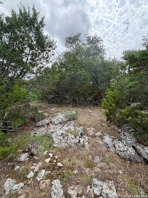 1328 Powder Ridge Rd, New Braunfels, TX 78132 - #3