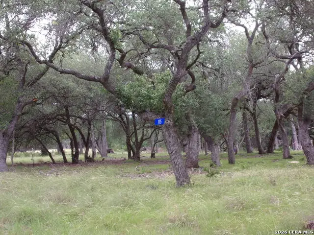 115 La Luna Dr, Blanco, TX 78606 - #1