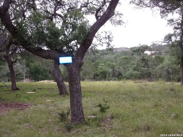 115 La Luna Dr, Blanco, TX 78606 - #3