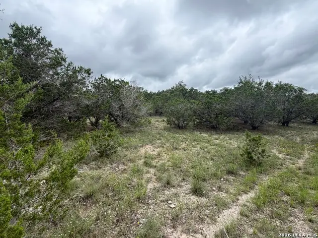 LOT 36 Cliff Dr, Spring Branch, TX 78070 - #3