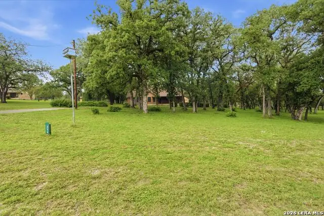 338 Twin Oaks Dr, La Vernia, TX 78121 - #2
