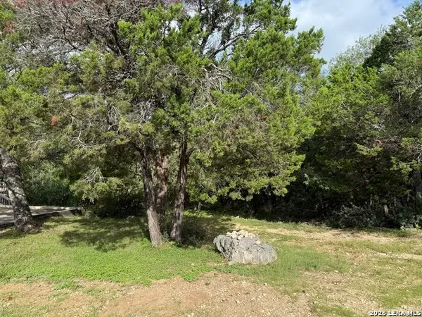 295 Nancy, Canyon Lake, TX 78133