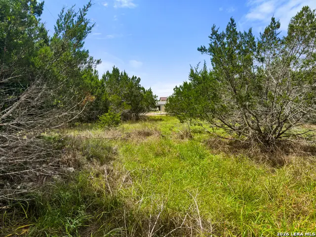 541 Henderson Drive, Spring Branch, TX 78070 - #1