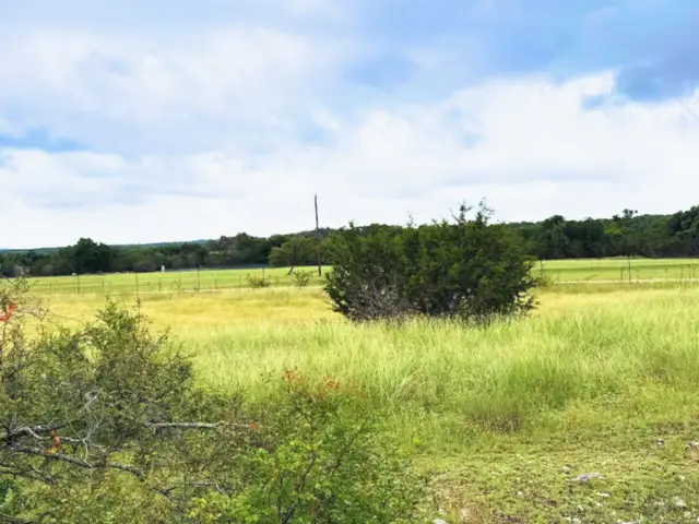 420 George Dolson, Blanco, TX 78606 - #1