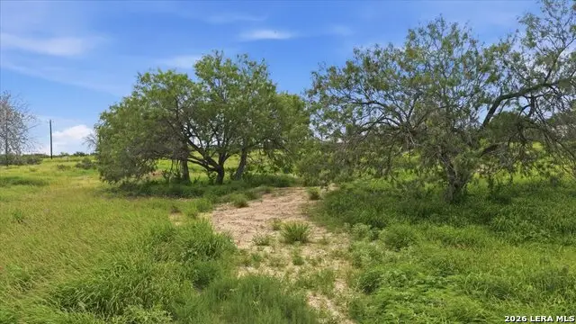 3187 Highway 72, Three Rivers, TX 78071 - #1