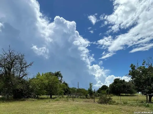 1460 Sandy Elm Rd, La Vernia, TX 78121 - #3