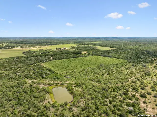547 County Road 3401, Hondo, TX 78861 - #2