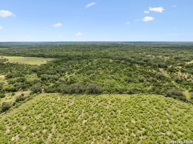 547 County Road 3401, Hondo, TX 78861 - #3