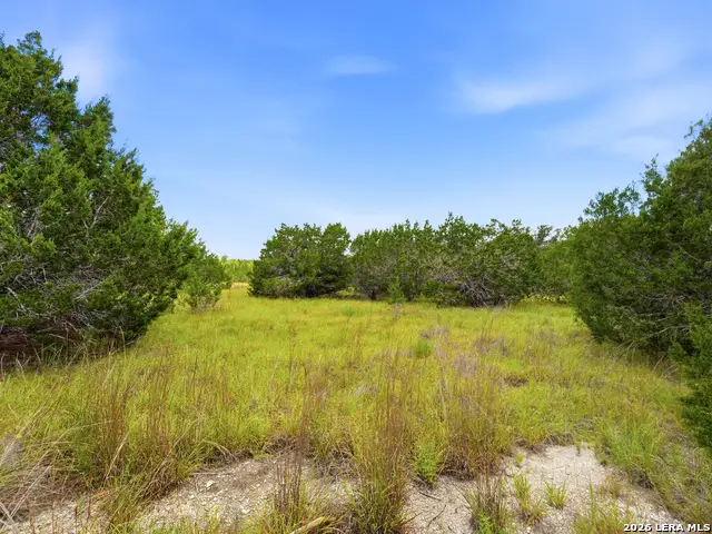 1030 Sunrise Pl, Spring Branch, TX 78070 - #3