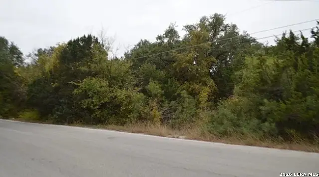15009 Little Wren Ln, San Antonio, TX 78255 - #2