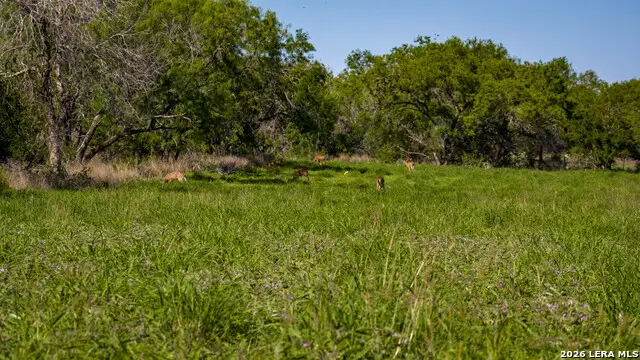 18000 Fm 791, Campbellton, TX 78008 - #2