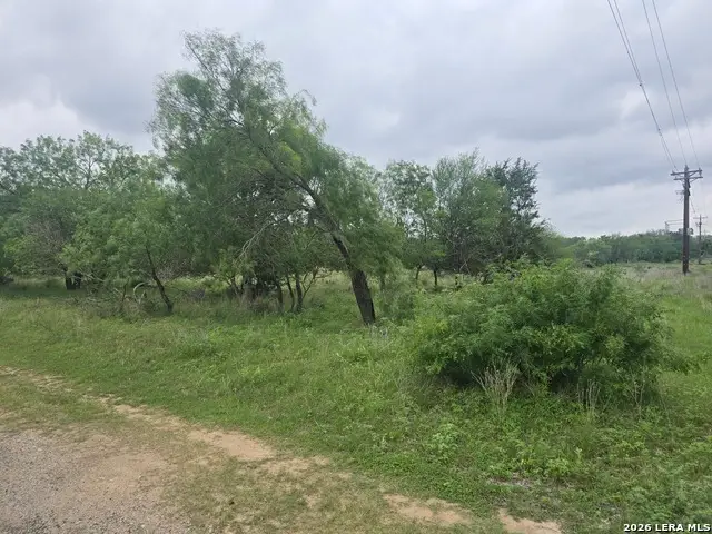 22 Cypress, Bandera, TX 78003 - #3
