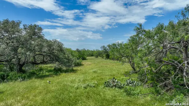 2880 Cr 307, Jourdanton, TX 78026 - #1