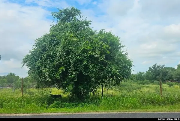 13808 LOT 2 Greenwood Rd, Atascosa, TX 78002