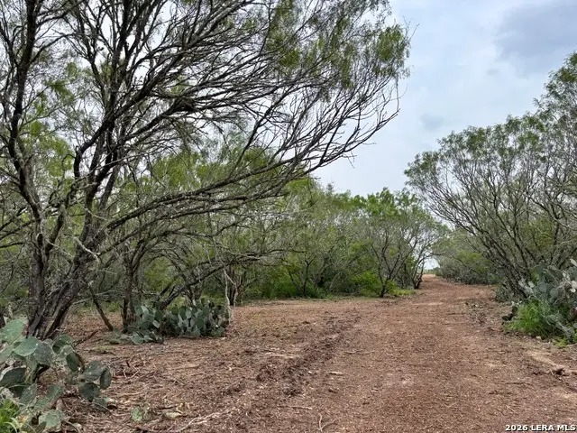 0 County Road 229, Concepcion, TX 78349 - #3