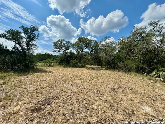 LOT 10 Pr 2535, Mico, TX 78056 - #2