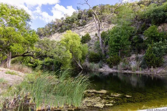 161 Flach Ranch Rd, Comfort, TX 78013 - #3