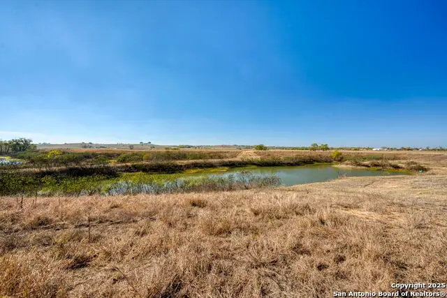 8646 Fm 155, La Grange, TX 78945 - #1