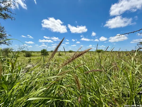 0 Cr 235, Three Rivers, TX 78071