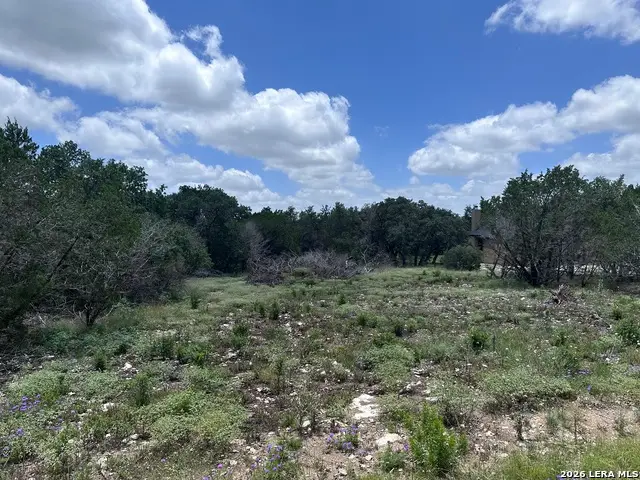 947 Serene Park Dr, Spring Branch, TX 78070 - #3
