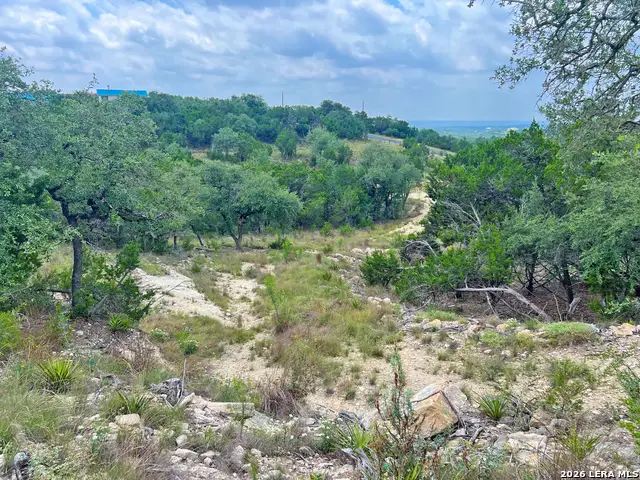 119 Champion Way, Spring Branch, TX 78070 - #1