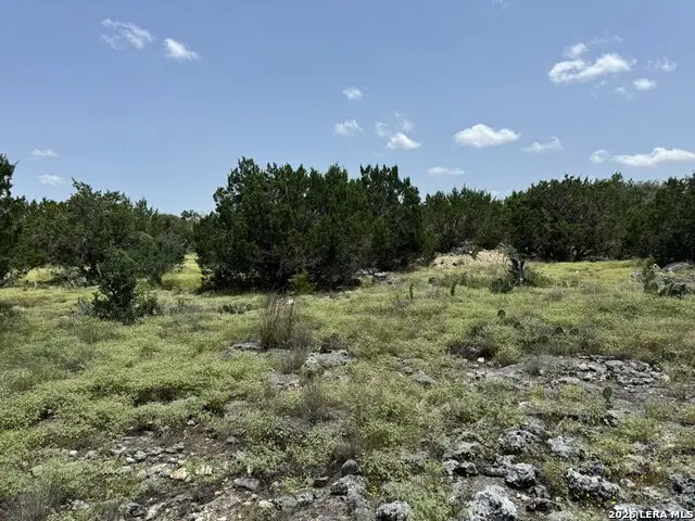 232 High Point Cir, Spring Branch, TX 78070 - #3