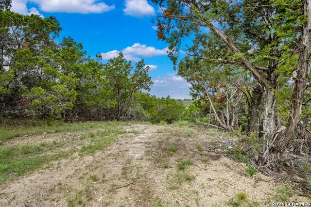 335 Shepherds Ranch, Bulverde, TX 78163 - #3