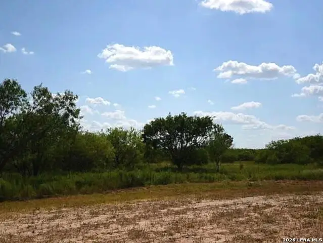155 Hidden Ranch Ct, Floresville, TX 78114 - #3